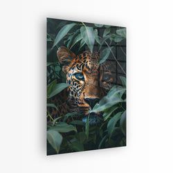 Materiaal – Plexiglas