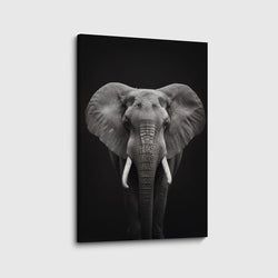 Materiaal – Canvas