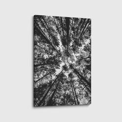 Materiaal – Canvas