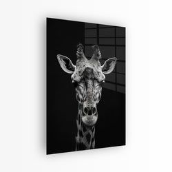 Materiaal – Plexiglas
