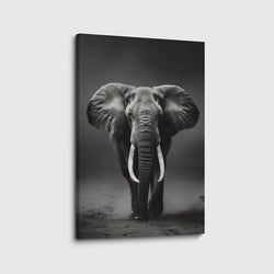 Materiaal – Canvas