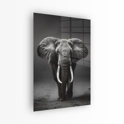Materiaal – Plexiglas
