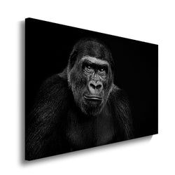 Materiaal – Canvas