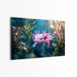 Materiaal – Plexiglas