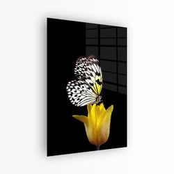 Materiaal – Plexiglas
