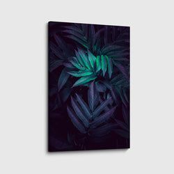 Materiaal – Canvas