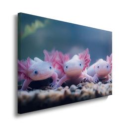 Materiaal – Canvas