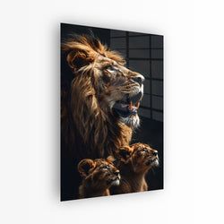 Materiaal – Plexiglas