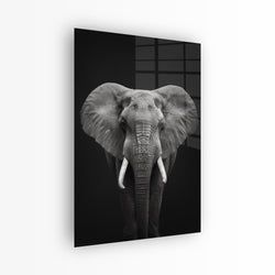 Materiaal – Plexiglas