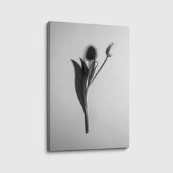 Materiaal – Canvas
