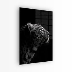 Materiaal – Plexiglas