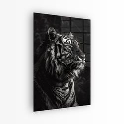 Materiaal – Plexiglas