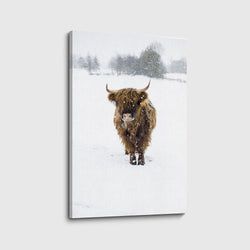 Materiaal – Canvas