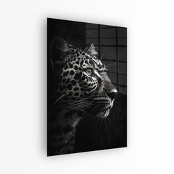 Materiaal – Plexiglas