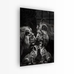 Materiaal – Plexiglas