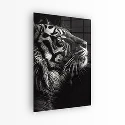 Materiaal – Plexiglas