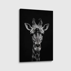 Materiaal – Canvas