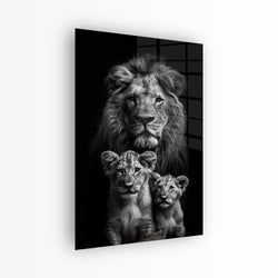 Materiaal – Plexiglas