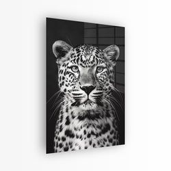 Materiaal – Plexiglas