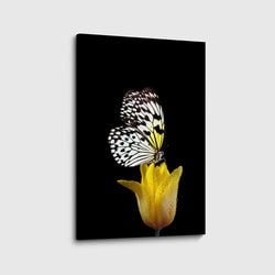 Materiaal – Canvas