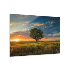 Materiaal – Plexiglas