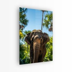 Materiaal – Plexiglas