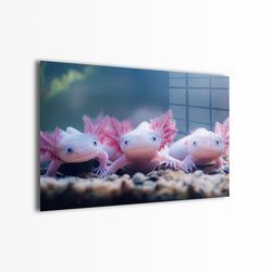 Materiaal – Plexiglas