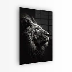 Materiaal – Plexiglas