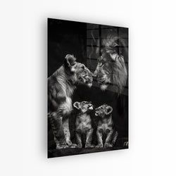 Materiaal – Plexiglas