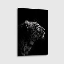 Materiaal – Canvas
