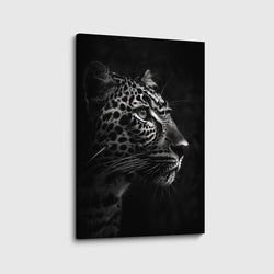 Materiaal – Canvas
