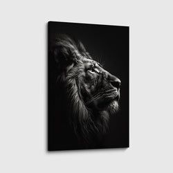 Materiaal – Canvas