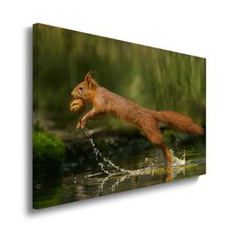 Materiaal – Canvas