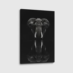 Materiaal – Canvas