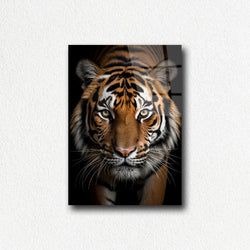 Materiaal – Plexiglas