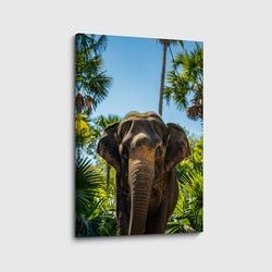 Materiaal – Canvas