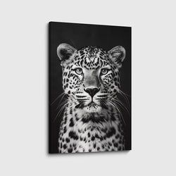 Materiaal – Canvas