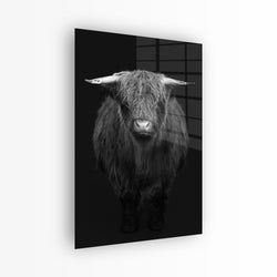 Materiaal – Plexiglas