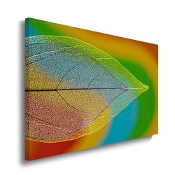 Materiaal – Canvas