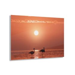 Materiaal – Plexiglas