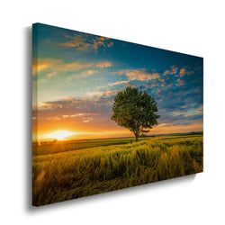 Materiaal – Canvas