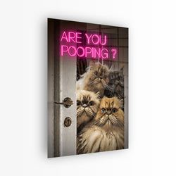 Materiaal – Plexiglas