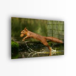 Materiaal – Plexiglas
