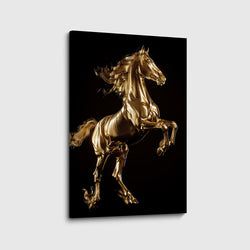 Materiaal – Canvas