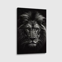 Materiaal – Canvas