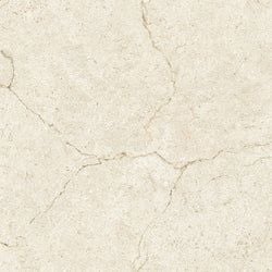 Colour – Ivory