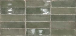 Subway Gloss – Olive