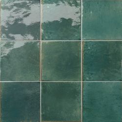 Colour – Selva