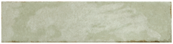Colour – Menta