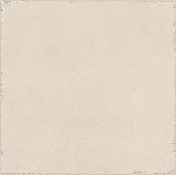 Colour – Coral